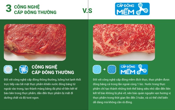 Phân loại và lưu trữ cấp đông các loại thực phẩm