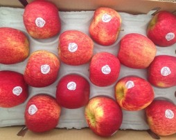 táo envy new zealand